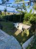 Location Appartement Furiani 20