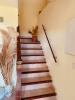 Louer Maison Castellare-di-casinca 450 euros