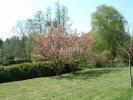 Acheter Terrain 3600 m2 Gif-sur-yvette
