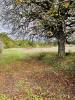 Land CURSAN 