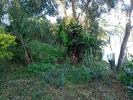 Annonce Vente Terrain Saint-gilles-les-hauts
