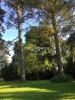 Annonce Vente Terrain Prunay-le-temple