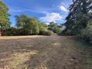 Annonce Vente 3 pi�ces Maison Riec-sur-belon