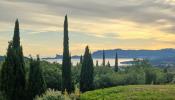 For sale House Cadiere-d'azur  83740 236 m2 7 rooms