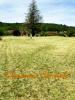 Annonce Vente Terrain Marcillac-saint-quentin