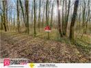 Vente Terrain Thenioux  18100 6783 m2