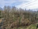 Acheter Terrain Thenioux Cher