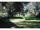 Annonce Vente Terrain Saint-georges-d'oleron