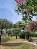 Apartment  PORT ROYAL RG