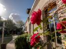 Vente Maison Savigny-sur-braye 41