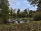 Acheter Terrain 9560 m2 Reboursin