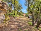Annonce Vente Terrain Rians
