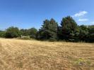 Acheter Terrain Chateauneuf-la-foret 12000 euros