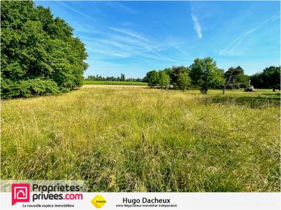 For sale Land BRINAY  18