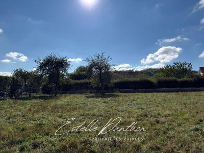 Vente Terrain BIZONNES  38