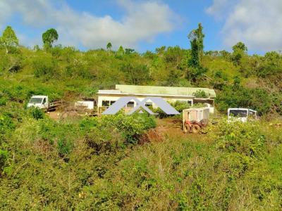 For sale Land SAINT-BENOIT  974