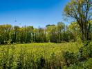 Land FARGUES-SAINT-HILAIRE 
