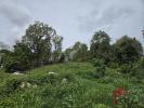 Annonce Vente Terrain Abymes