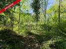 Annonce Vente Terrain Leves