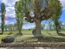 Acheter Maison Gasques 350000 euros
