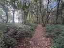 Annonce Vente 5 pi�ces Maison Saujon