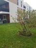 Annonce Location 3 pi�ces Appartement Lentilly