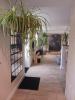Annonce Vente 6 pi�ces Maison Vevy