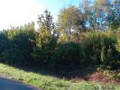 Annonce Vente Terrain Saint-georges-motel