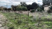 Annonce Vente Terrain