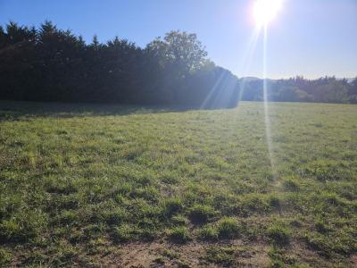 For sale House CLIOUSCLAT 