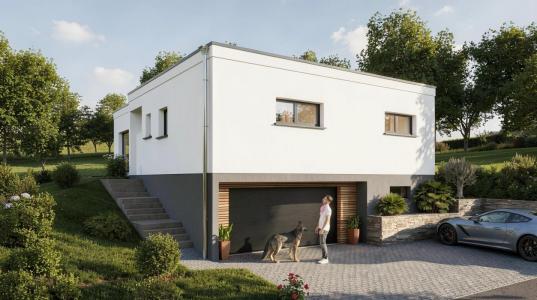 Vente Maison 5 pièces SCHLIERBACH 68440