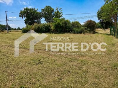 For sale Land BLAN  81