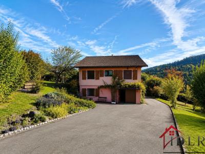Vente Maison LIEZEY  88