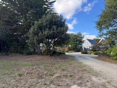 Vente Terrain SARZEAU 56370