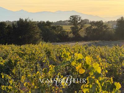 For sale Land BROUILLA  66