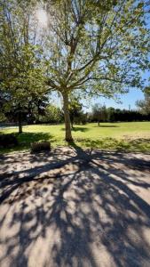 Vente Maison 5 pièces LUNEL 34400