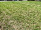 Vente Terrain Nogent-sur-vernisson  45290 451 m2
