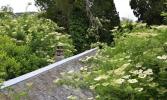 Acheter Maison Pont-audemer 95000 euros