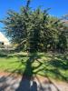 Land SAINT-ARMEL 