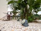 Acheter Maison Cabestany 548000 euros