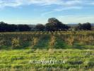 Vente Terrain Bages 66