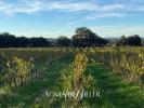 Annonce Vente Terrain Bages
