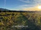 Land BROUILLA 