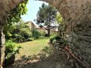 Acheter Prestige Corsavy Pyrenees orientales