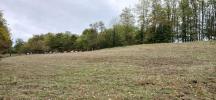 Acheter Maison 250 m2 Melincourt