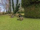 Annonce Vente 9 pi�ces Maison Champagnac-la-riviere