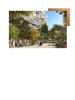 Annonce Location 2 pi�ces Appartement Issy-les-moulineaux