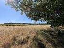Annonce Vente Maison Capian