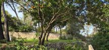 Land CAVEIRAC 