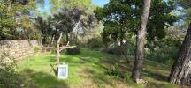 Land CAVEIRAC 